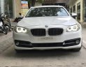 BMW 5 Series 520i 2015 - Bán xe BMW 520i Series năm 2015 màu trắng kem