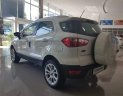 Ford EcoSport   Titanium   2018 - Bán xe Ford EcoSport Titanium sản xuất 2018, màu trắng  