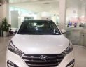 Hyundai Tucson   2018 - Bán xe Hyundai Tucson năm 2018, màu trắng