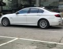 BMW 5 Series 520i 2015 - Bán xe BMW 520i Series năm 2015 màu trắng kem