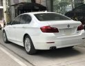 BMW 5 Series 520i 2015 - Bán xe BMW 520i Series năm 2015 màu trắng kem