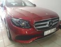 Mercedes-Benz E class E250 2018 - Cần bán gấp Mercedes E250 2018, màu đỏ, xe nhập