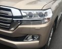 Toyota Land Cruiser VX 4.6  2016 - Bán xe Toyota Land Cruiser VX 4.6 đời 2017, màu vàng, nhập khẩu nguyên chiếc