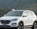 Hyundai Tucson   1.6 Turbo   2018 - Bán Hyundai Tucson 1.6 Turbo năm 2018, màu trắng, giá cạnh tranh