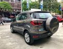 Ford EcoSport 2017 - Chính chủ cần bán lại xe Ford EcoSport 2017, màu xám