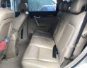 Chevrolet Captiva   LTZ   2007 - Cần bán xe Chevrolet Captiva LTZ đời 2007, màu vàng, số tự động