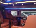 Ford Transit Limousine 2015 - Bán Ford Transit Limousine 2015, màu đen