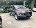 Ford EcoSport 2017 - Chính chủ cần bán lại xe Ford EcoSport 2017, màu xám