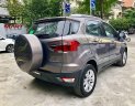 Ford EcoSport 2017 - Chính chủ cần bán lại xe Ford EcoSport 2017, màu xám