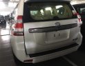 Toyota Land Cruiser  Prado VX 2018 - Bán xe Toyota Land Cruiser Prado VX năm sản xuất 2018, màu trắng, xe nhập