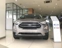 Ford EcoSport 2018 - Cần bán Ford EcoSport năm 2018, màu xám, 525 triệu