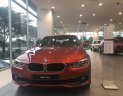 BMW 3 Series 320i  2018 - BMW 320i 2018 2.0L Sedan New 100% - Sunset Orange. Có xe giao ngay