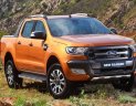 Ford Ranger 4x4 2018 - Cần bán xe Ford Ranger 4x4 năm sản xuất 2018, màu cam, nhập khẩu nguyên chiếc, giá 918tr