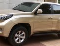 Toyota Prado Txl 2010 - Bán Toyota Prado TXL sản xuất 2010, màu ghi vàng, nhập khẩu nguyên chiếc