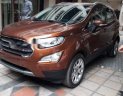 Ford EcoSport 2018 - Cần bán xe Ford EcoSport đời 2018, màu nâu, giá tốt 