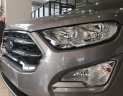 Ford EcoSport 2018 - Cần bán Ford EcoSport năm 2018, màu xám, 525 triệu