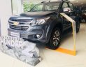 Chevrolet Colorado MT 4x2 2018 - Bán xe Chevrolet Colorado 2.5 VGT sản xuất 2018, nhập khẩu nguyên chiếc, giá tốt