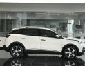 Peugeot 3008 2018 - Peugeot 3008 chiếc xe mong chờ nhất của năm 2019