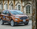 Ford EcoSport Titanium AT 1.5L 2018 - Bán Ford EcoSport năm sản xuất 2018, giá tốt. LH: 0901.979.357 - Mr. Hoàng