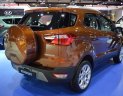 Ford EcoSport 2018 - Bán Ford EcoSport năm sản xuất 2018, giá chỉ 610 triệu