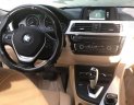 BMW 3 Series 320i 2017 - Bán ô tô BMW 3 Series 320i sản xuất 2017, màu trắng, nhập khẩu