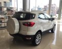 Ford EcoSport 2018 - Bán giảm Ford Ecosport giao ngay, hỗ trợ trả góp tới 80%