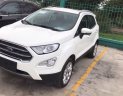 Ford EcoSport 2018 - Bán xe Ecosport giao ngay, giá thấp nhất thị trường, ưu đãi ngân hàng