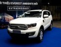 Ford Everest ambiente 2018 - Bán xe Ford Everest Ambiente 2018 giá cực kỳ hấp dẫn