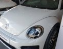 Volkswagen Beetle 2018 - Cần bán Volkswagen Beetle 2018, màu trắng, xe Đức nhập khẩu nguyên chiếc