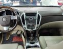 Cadillac SRX 3.0 V6 2010 - Bán ô tô Cadillac SRX 3.0 V6 đời 2010, màu trắng, nhập khẩu