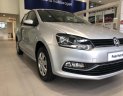 Volkswagen Polo 1.6AT 2017 - Bán Volkswagen Polo Hatchback 1.6AT 6 cấp số - xe nhập khẩu chính hãng