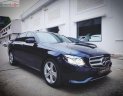 Mercedes-Benz E class E250 2018 - Cần bán xe Mercedes E250 đời 2018, mới 100%