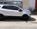 Ford EcoSport  MT 2016 - Bán Ford Ecosport 2016 số sàn, màu bạc MT, đăng ký 9/2016.