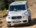 Mercedes-Benz G class G63 2018 - Bán Mercedes Benz G63 AMG Model 2019, nhập khẩu nguyên chiếc, xe đặt cọc