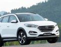 Hyundai Tucson   1.6AT    2018 - Cần bán Hyundai Tucson 1.6AT đời 2018, mới 100%