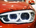 BMW 1 Series 118i  2018 - Bán BMW 1 Series đời 2018, màu cam, nhập khẩu nguyên chiếc, giá tốt nhất, khuyến mãi khủng nhất