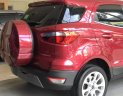 Ford EcoSport Titanium 1.5L AT 2018 - Bán xe Ford EcoSport 2018, khuyến mãi: BHVC, phim, camera, bệ bước, che mưa, lót sàn simili, bọc trần,... LH: 093.5437595