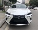 Lexus NX 2018 - Bán Lexus NX300 sản xuất 2018 màu trắng, giao ngay