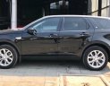 LandRover Discovery 2015 - Bán xe LandRover Discovery Sport HSE 2015