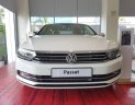 Volkswagen Passat Bluemotion 2018 - Bán Volkswagen Passat Bluemotion, xe Đức, nhập khẩu
