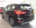 BMW X1 sDrive18i 2018 - Cần bán BMW X1 sDrive18i đời 2018, màu nâu, nhập khẩu