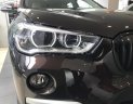 BMW X1 sDrive18i 2018 - Bán ô tô BMW X1 sDrive18i năm 2018, màu nâu, xe nhập