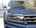 Volkswagen Tiguan 2018 - Bán ô tô Volkswagen Tiguan đời 2018, màu xanh lam, nhập khẩu nguyên chiếc