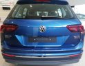 Volkswagen Tiguan 2018 - Bán ô tô Volkswagen Tiguan đời 2018, màu xanh lam, nhập khẩu nguyên chiếc