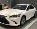 Lexus ES 250 2018 - Bán Lexus ES 250 2019 hoàn toàn mới sẽ đến tay khách hàng trong tháng 1/2019