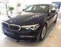 BMW 5 Series 520i 2019 - Cần bán BMW 5 Series 520i đời 2019, màu xanh lam, xe nhập