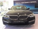 BMW 5 Series 530i 2019 - Bán ô tô BMW 5 Series 530i năm 2019, màu đen, xe nhập