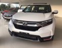 Honda CR V 2019 - Bán ô tô Honda CR V năm 2019, màu bạc, nhập khẩu nguyên chiếc