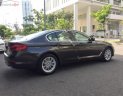 BMW 5 Series 520i 2019 - Cần bán xe BMW 5 Series 520i sản xuất 2019, nhập khẩu