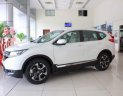 Honda CR V 2019 - Bán ô tô Honda CR V năm 2019, màu bạc, nhập khẩu nguyên chiếc